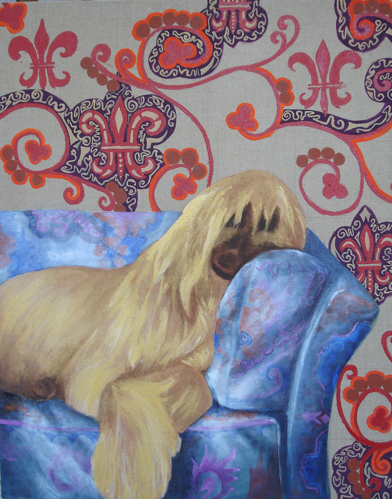 Lévrier Afghan avachi sur canapé